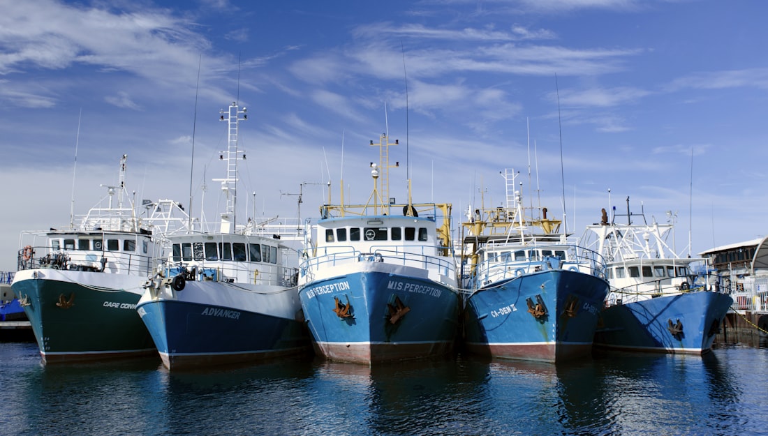 Certified export and traceability
